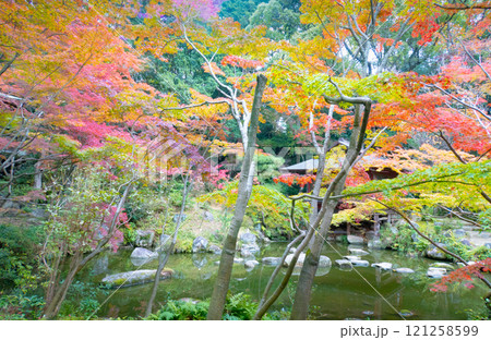 神戸市須磨区にある紅葉がきれいな神戸迎賓館・旧西尾邸の茶室・真珠亭 神戸市須磨区にある紅葉がきれいな神戸迎賓館・旧西尾邸の茶室・真珠亭 121258599
