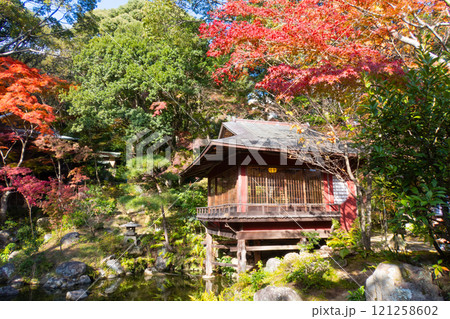 神戸市須磨区にある紅葉がきれいな神戸迎賓館・旧西尾邸の茶室・真珠亭 神戸市須磨区にある紅葉がきれいな神戸迎賓館・旧西尾邸の茶室・真珠亭 121258602