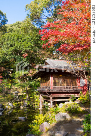 神戸市須磨区にある紅葉がきれいな神戸迎賓館・旧西尾邸の茶室・真珠亭 神戸市須磨区にある紅葉がきれいな神戸迎賓館・旧西尾邸の茶室・真珠亭 121258603