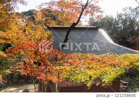 神戸市須磨区にある紅葉がきれいな神戸迎賓館・旧西尾邸の茶室・真珠亭 121258608