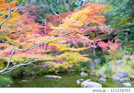 神戸市須磨区にある紅葉がきれいな神戸迎賓館・旧西尾邸の離れ・松風閣 121258701