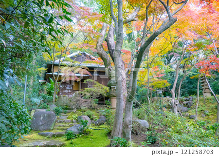 神戸市須磨区にある紅葉がきれいな神戸迎賓館・旧西尾邸の離れ・松風閣 121258703