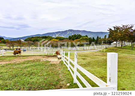 秋を迎えた（牧歌の里） 121259024