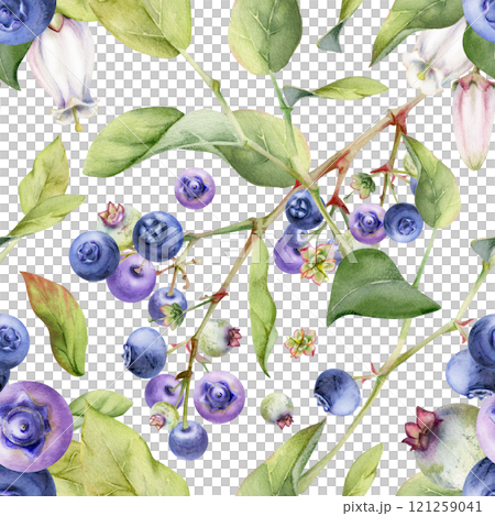 Blackberry blueberry with white bell flowers, green leaves, hand drawn in watercolor, forest berry bunch on branches. Seamless pattern isolated illustration for dessert menu, wedding, farmers market. 121259041