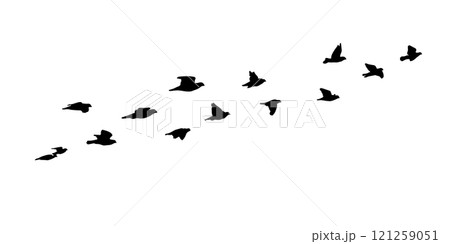 Flying birds silhouette flock. hand drawing. Not AI. Vector illustration Flying birds silhouette flock. hand drawing. Not AI. Vector illustration 121259051