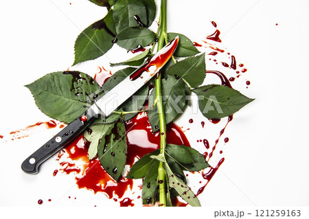 Beautiful and bloody white rose with knife on the white background. Bloody rose - conceptual photo.  White rose with knife and blood. 121259163