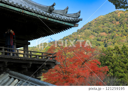 奈良 真言宗豊山派総本山大和国長谷寺 鐘楼と紅葉の風景 奈良 真言宗豊山派総本山大和国長谷寺 鐘楼と紅葉の風景 121259195