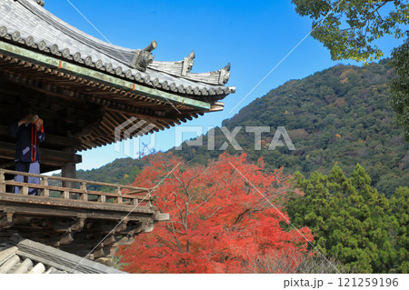奈良　真言宗豊山派総本山大和国長谷寺　鐘楼と紅葉の風景 121259196