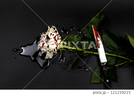 Beautiful and bloody white rose with knife on the dark background. Bloody rose - conceptual photo.  White rose with knife and blood. 121259225