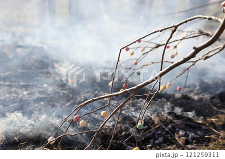 長い枝の先につけたまゆだまをおき火で焼く 121259311