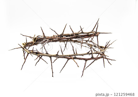 A crown of thorns on a white background. Conceptual phototo use in the design. A wreath of branches with thorns A crown of thorns on a white background. Conceptual phototo use in the design. A wreath of branches with thorns 121259468
