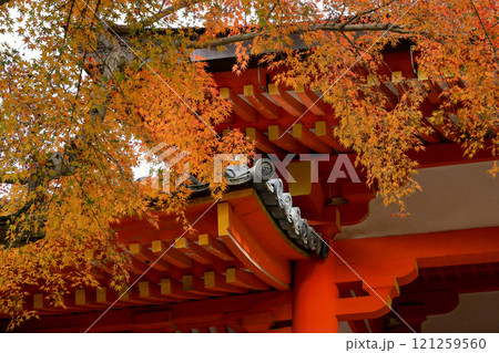 世界遺産　春日大社　南門の紅葉 121259560