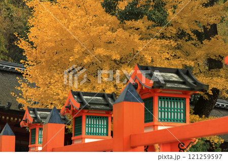 世界遺産　春日大社　御廊・中門の銀杏紅葉 121259597