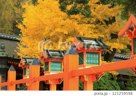 世界遺産　春日大社　御廊・中門の銀杏紅葉 121259598