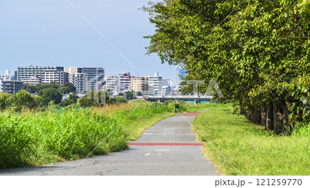 夏の多摩川　川沿いに建ち並ぶ住宅と緑豊かな河川敷の風景【東京都・大田区－神奈川県・川崎市】 121259770