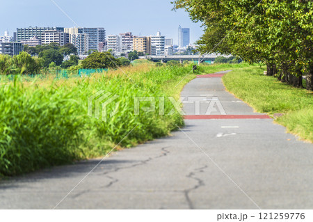 夏の多摩川河川敷の風景　緑豊かなサイクリングロード【東京都・大田区】 121259776