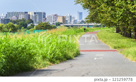 夏の多摩川河川敷の風景 緑豊かなサイクリングロード【東京都・大田区】 夏の多摩川河川敷の風景 緑豊かなサイクリングロード【東京都・大田区】 121259778