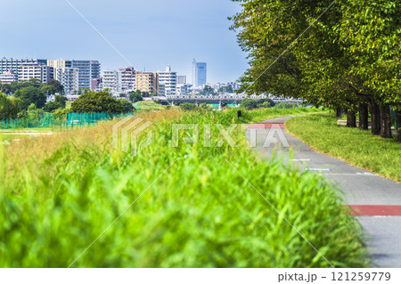 夏の多摩川　川沿いに建ち並ぶ住宅と緑豊かな河川敷の風景【東京都・大田区－神奈川県・川崎市】 121259779