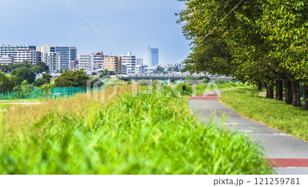 夏の多摩川　川沿いに建ち並ぶ住宅と緑豊かな河川敷の風景【東京都・大田区－神奈川県・川崎市】 121259781