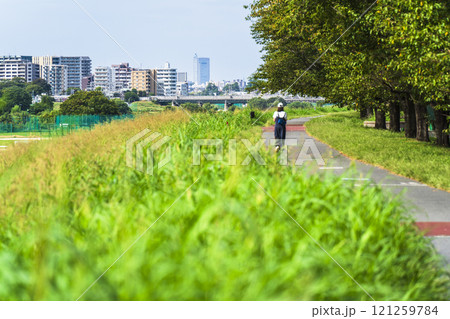 夏の多摩川河川敷の風景【東京都・大田区】 121259784