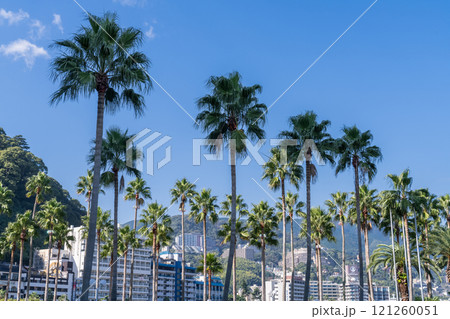 《静岡県》熱海・リゾート地の風景 121260051