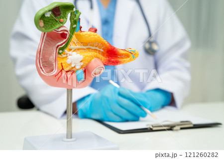 Pancreatitis, pancreatic cancer, Asian doctor with pancreas, gallbladder and bile duct human anatomy model at hospital. Pancreatitis, pancreatic cancer, Asian doctor with pancreas, gallbladder and bile duct human anatomy model at hospital. 121260282