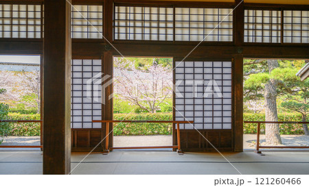 掛川城二の丸御殿上の間からの桜 121260466