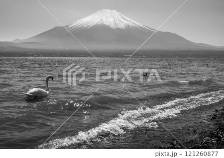 Iconic view of lake Kawaguchiko and Mount Fuji in Yamanashi prefecture, Japan 121260877