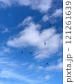 鳥が飛ぶ青空の景色 121261639