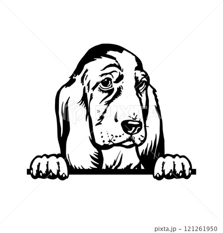 Peeking Puppy Basset Hound - Dog Breed, Puppy Breed Vector File, detailed vector Peeking Puppy Basset Hound - Dog Breed, Puppy Breed Vector File, detailed vector 121261950