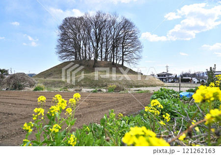 倉賀野宿散歩:大鶴巻古墳 高崎市倉賀野町 倉賀野宿散歩:大鶴巻古墳 高崎市倉賀野町 121262163