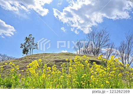 倉賀野宿散歩：小鶴巻古墳　高崎市倉賀野町 121262169