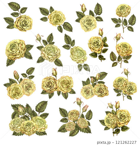 Large set of bouquets of yellow rose flowers with green leaves isolated on a white background. Watercolor botanical illustration template for wedding, birthday, textile, fabric, sticker, scrapbooking 121262227