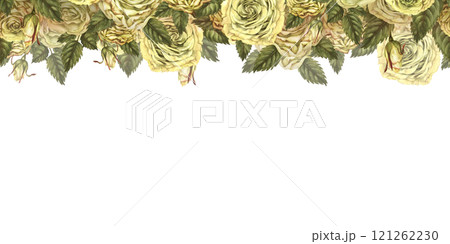 Seamless border of yellow rose flowers with green leaves isolated on white background. Watercolor botanical illustration template for wedding, birthday,fabric, textile, card, sticker, scrapbooking Seamless border of yellow rose flowers with green leaves isolated on white background. Watercolor botanical illustration template for wedding, birthday,fabric, textile, card, sticker, scrapbooking 121262230
