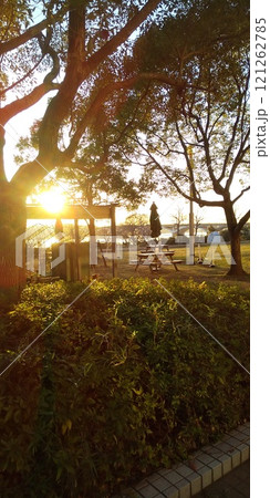 手賀沼親水公園から臨む夕日 121262785