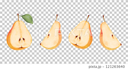 Collection of yellow pears. Fruit halves and pieces. Botanical watercolor and marker illustration. Hand drawn isolated art. Clip art of ripe fruits from tree. Vegetarian products. Organic food sketch. 121263640