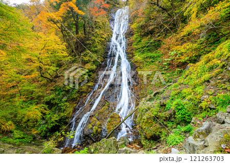 秋の丸神の滝　埼玉県秩父郡 121263703