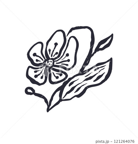 Black and white minimal abstract inky line art flower 121264076