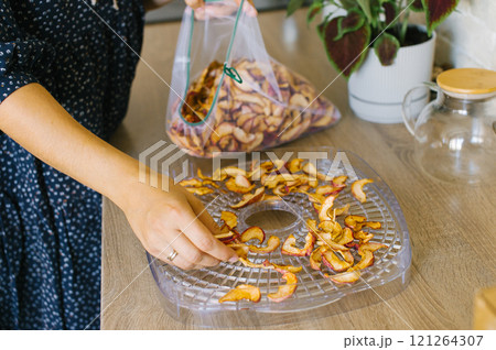 Woman Preparing Dried Apple Slices on a Dehydrator Tray 121264307