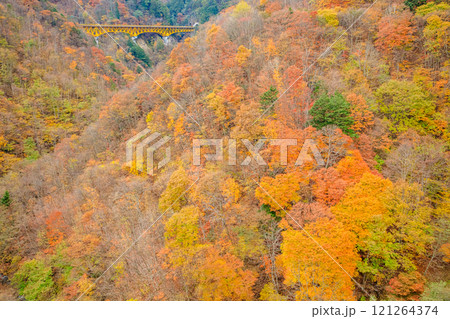 秋の豆焼橋から見た景色　埼玉県秩父市 121264374