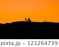 Silhouette of a girl and a man on a motorcycle.  121264739