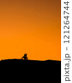 Silhouette of a girl and a man on a motorcycle.  121264744