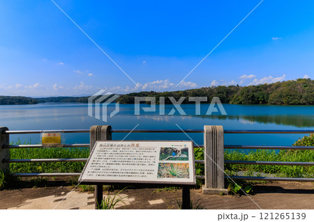 埼玉県　所沢市にある 狭山湖 121265139