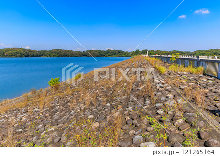 埼玉県　所沢市にある 狭山湖 121265164