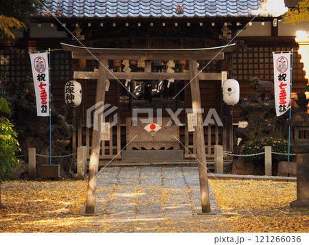 黄葉したイチョウの葉と神社 黄葉したイチョウの葉と神社 121266036
