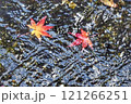 川に浮かぶ紅葉 121266251