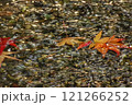 水面に浮かぶ紅葉 121266252