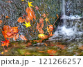 小川に流れる紅葉 121266257