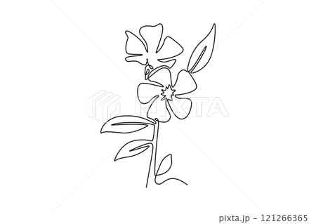 Single continuous line drawing of beauty fresh catharanthus for garden logo. Decorative periwinkle flower concept for home wall decor art poster print. One line draw graphic design vector illustration 121266365