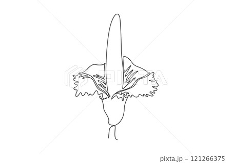 Single one line drawing of beauty fresh amorphophallus titanum for home wall decor poster print. Decorative titan arum flower for national park. Continuous line draw design graphic vector illustration 121266375